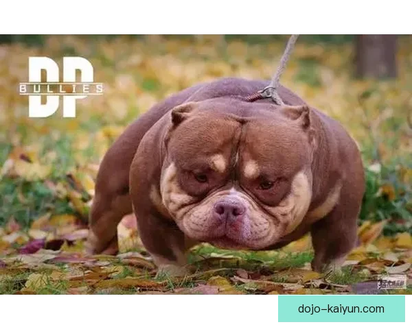 巴尔韦德商业价值排名持续提升，对俱乐部市场影响力明显增强